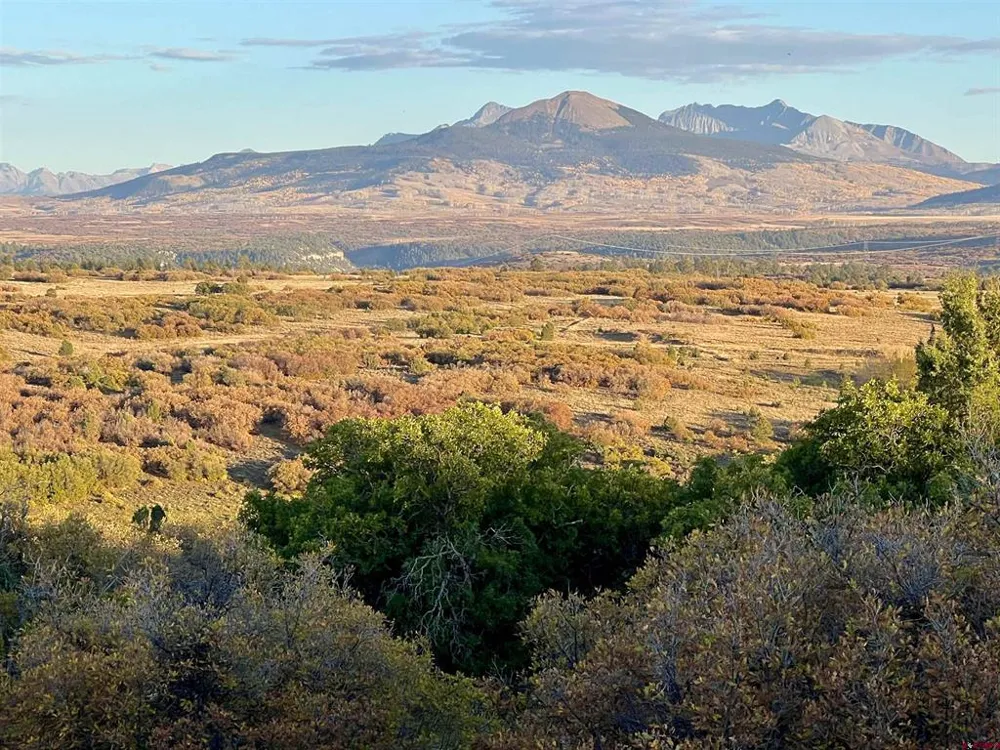 28 Gurley Lake Drive Norwood, CO 81423