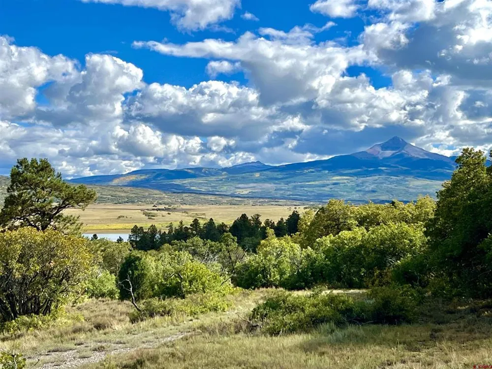28 Gurley Lake Drive Norwood, CO 81423