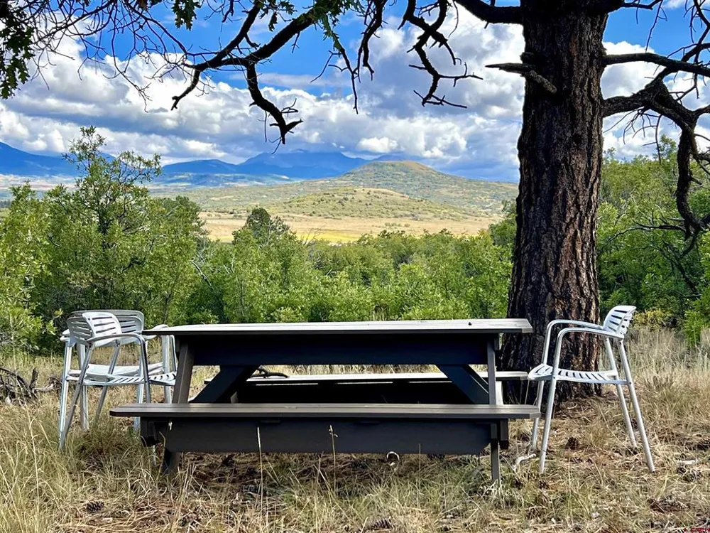 28 Gurley Lake Drive Norwood, CO 81423