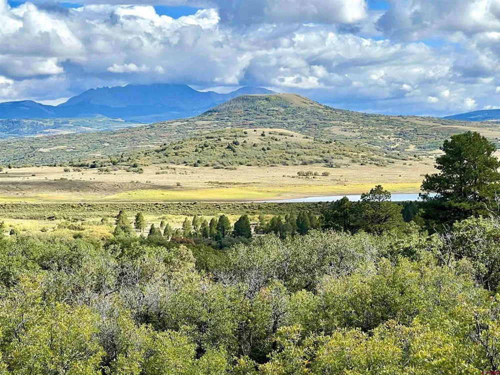 28 Gurley Lake Drive Norwood, CO 81423