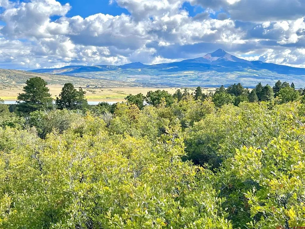 28 Gurley Lake Drive Norwood, CO 81423