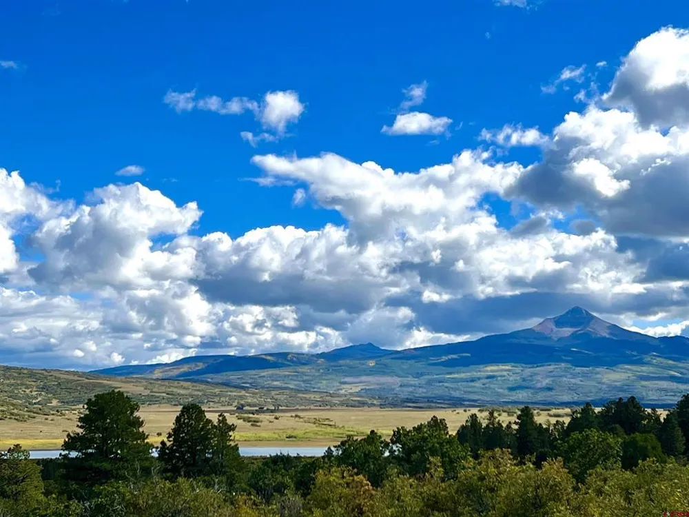 28 Gurley Lake Drive Norwood, CO 81423