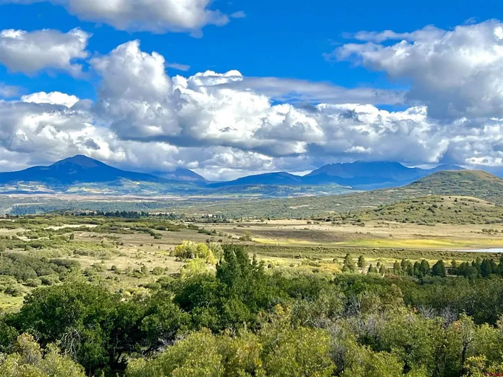 28 Gurley Lake Drive Norwood, CO 81423