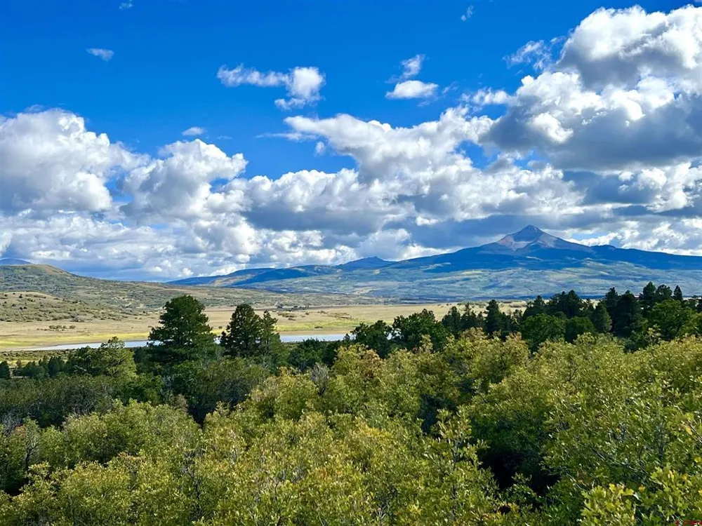 28 Gurley Lake Drive Norwood, CO 81423