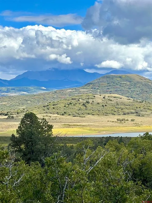 28 Gurley Lake Drive Norwood, CO 81423