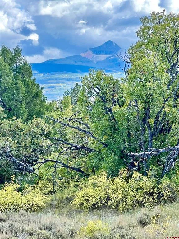 28 Gurley Lake Drive Norwood, CO 81423