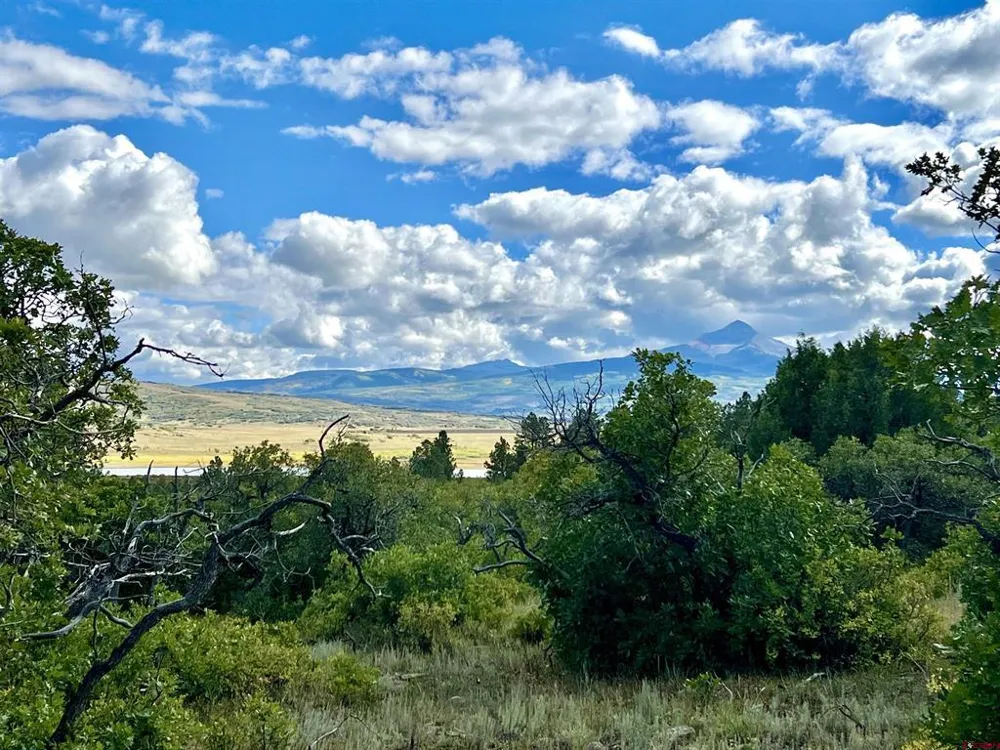 28 Gurley Lake Drive Norwood, CO 81423