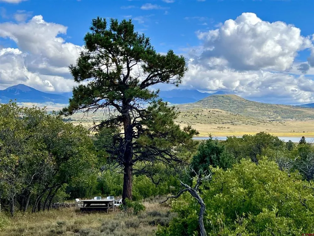 28 Gurley Lake Drive Norwood, CO 81423