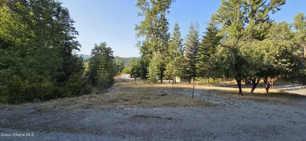930 Lower Page Road Smelterville, ID 83868
