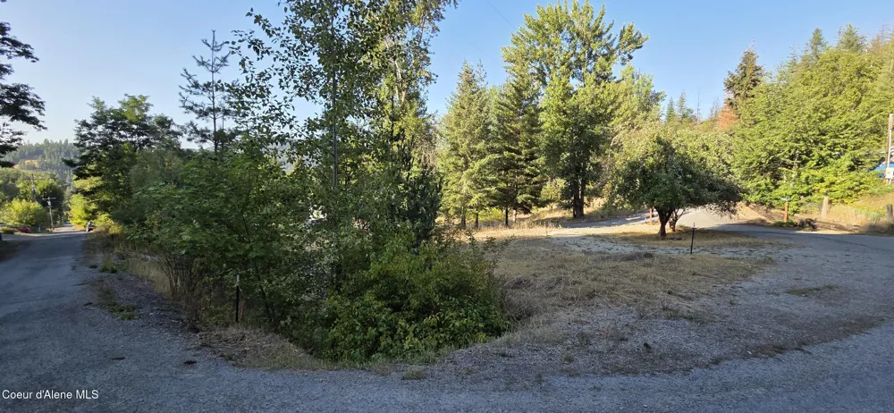 930 Lower Page Road Smelterville, ID 83868
