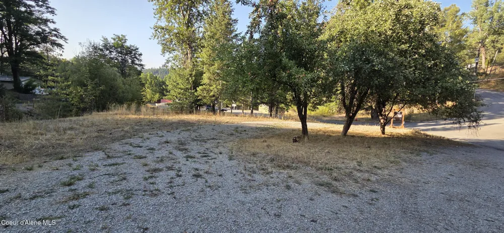 930 Lower Page Road Smelterville, ID 83868
