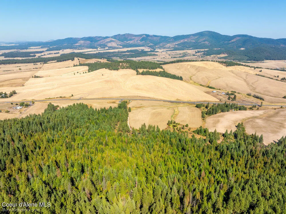 NNA Coldwater Lane Desmet, ID 83824