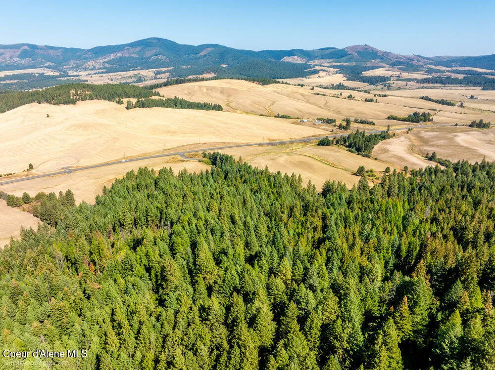 NNA Coldwater Lane Desmet, ID 83824