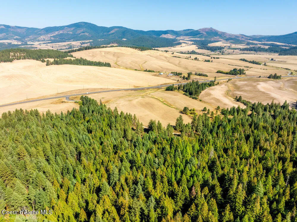 NNA Coldwater Lane Desmet, ID 83824