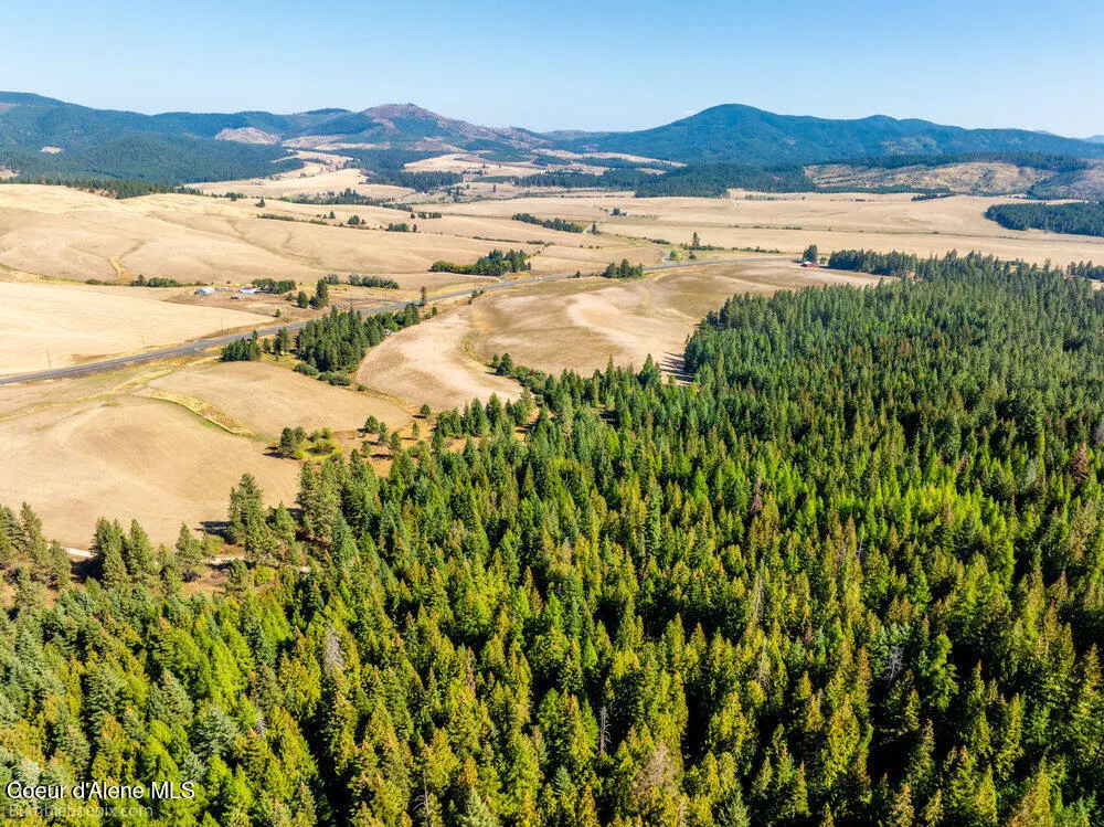 NNA Coldwater Lane Desmet, ID 83824