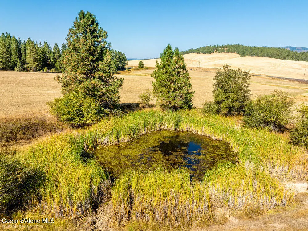 NNA Coldwater Lane Desmet, ID 83824