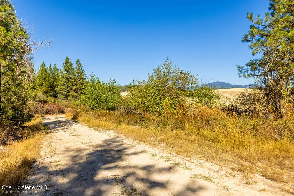 NNA Coldwater Lane Desmet, ID 83824