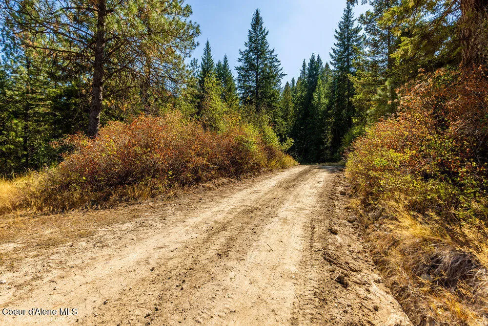 NNA Coldwater Lane Desmet, ID 83824