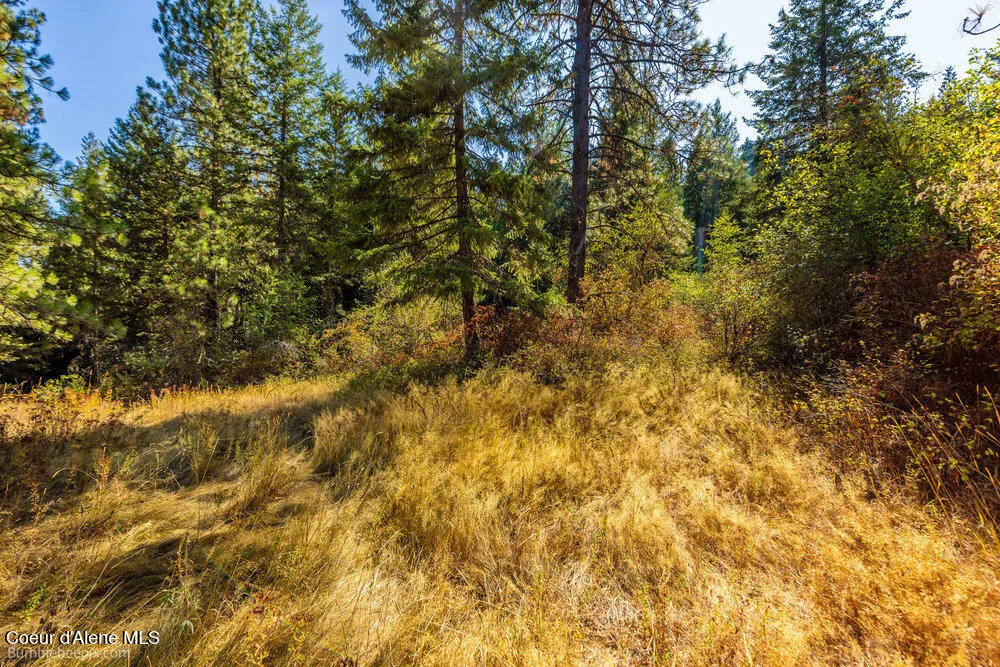 NNA Coldwater Lane Desmet, ID 83824