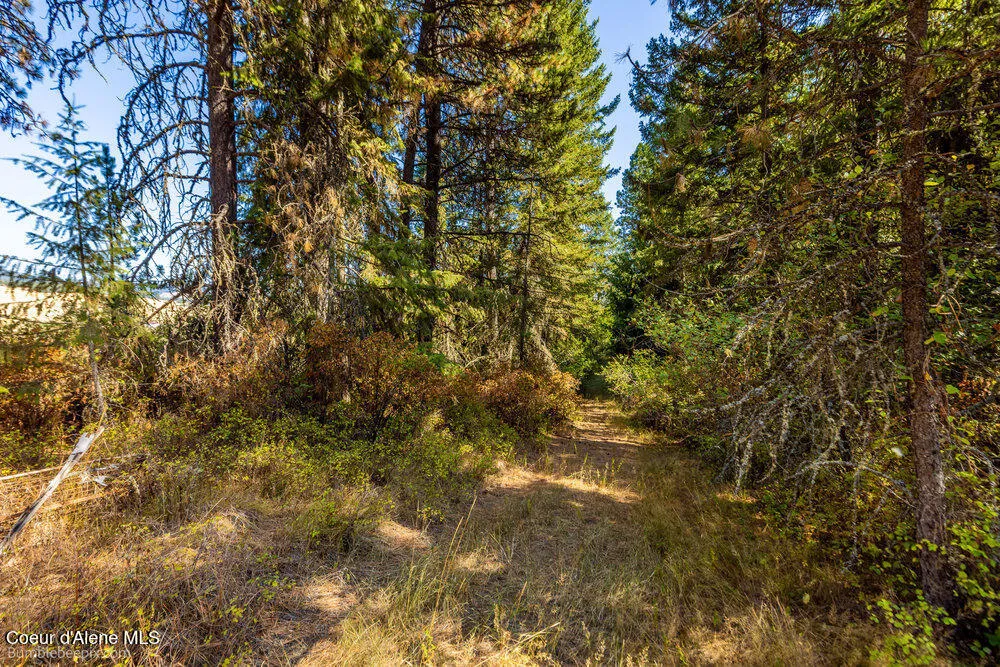 NNA Coldwater Lane Desmet, ID 83824