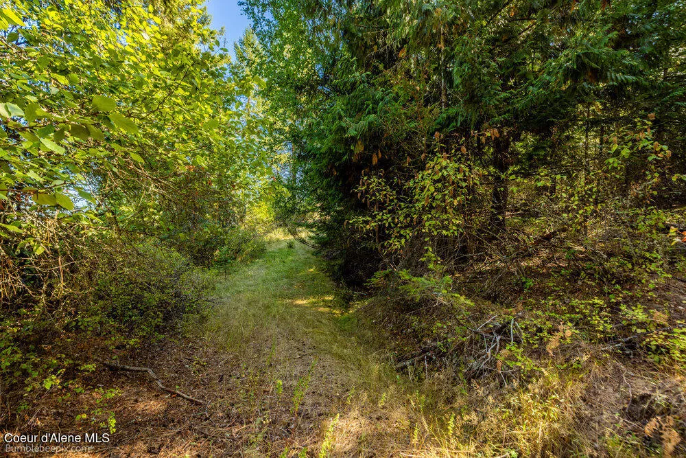 NNA Coldwater Lane Desmet, ID 83824