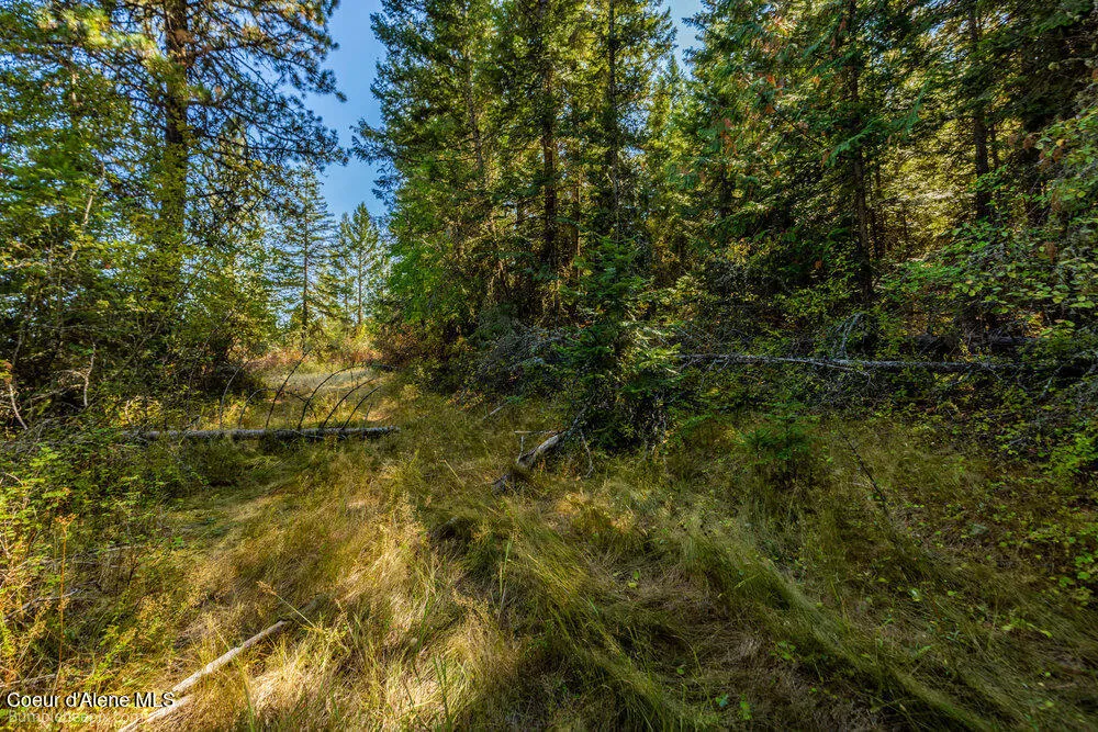 NNA Coldwater Lane Desmet, ID 83824