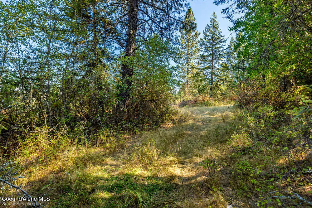 NNA Coldwater Lane Desmet, ID 83824