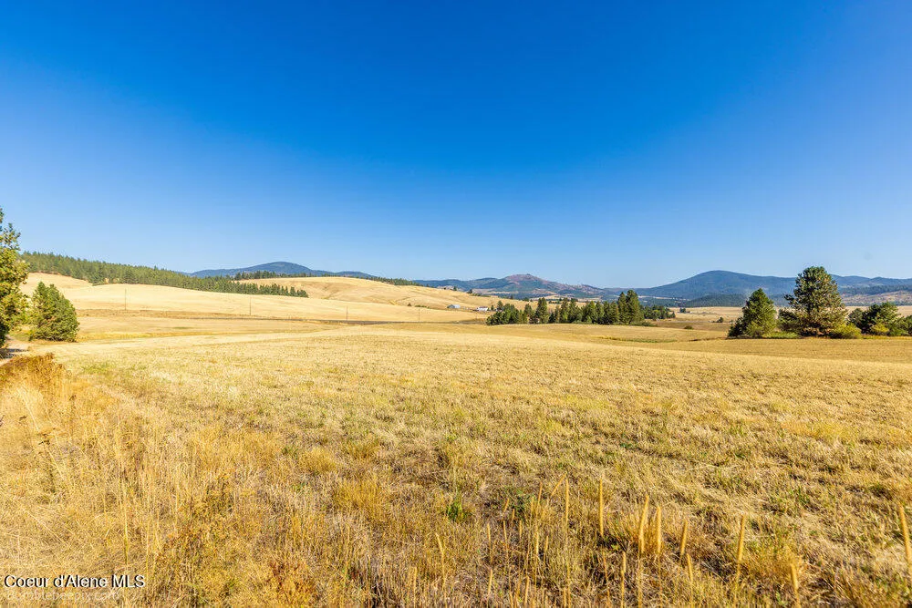 NNA Coldwater Lane Desmet, ID 83824