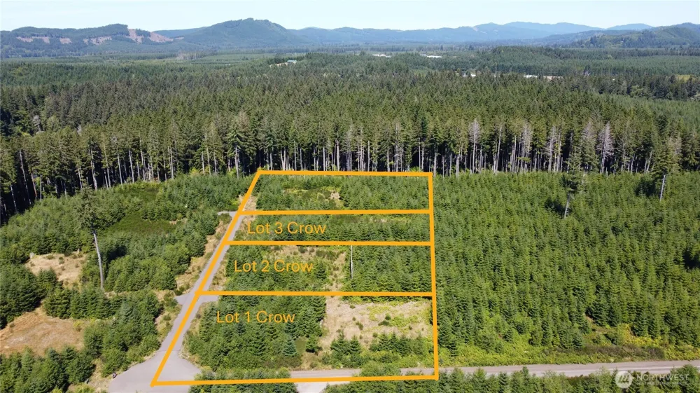 9999 King Johns- Lot 3 Crow Way Forks, WA 98331