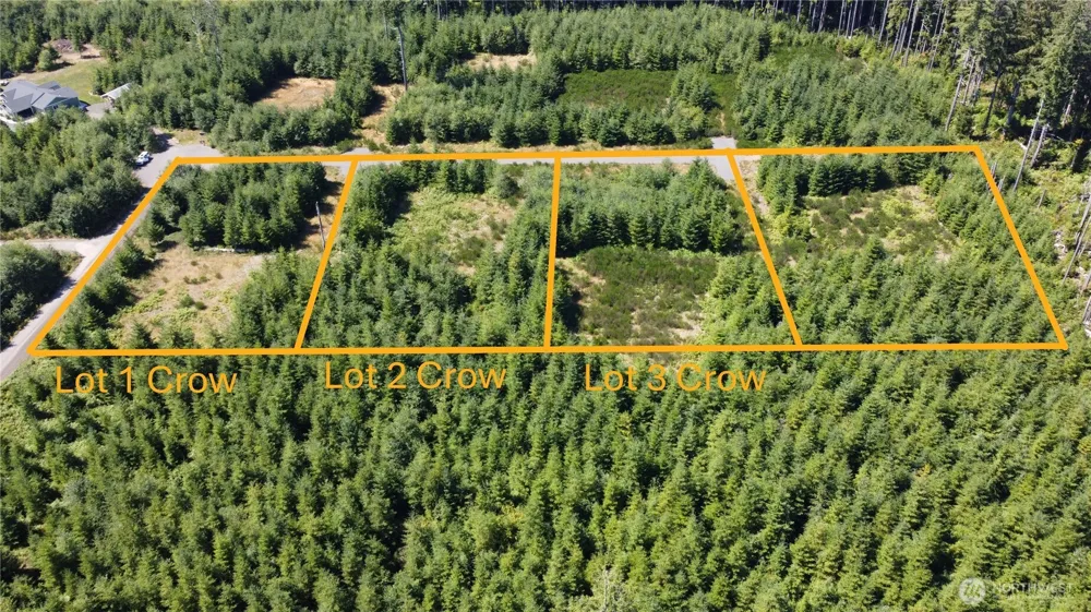 9999 King Johns- Lot 3 Crow Way Forks, WA 98331
