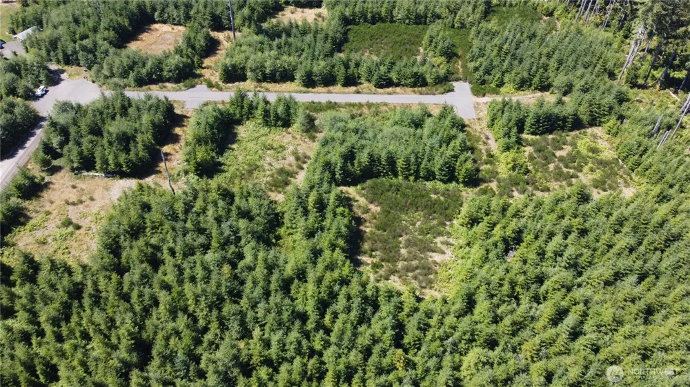 9999 King Johns- Lot 3 Crow Way Forks, WA 98331