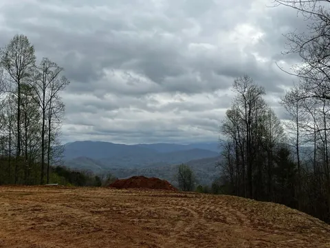 Bee Gum Ridge