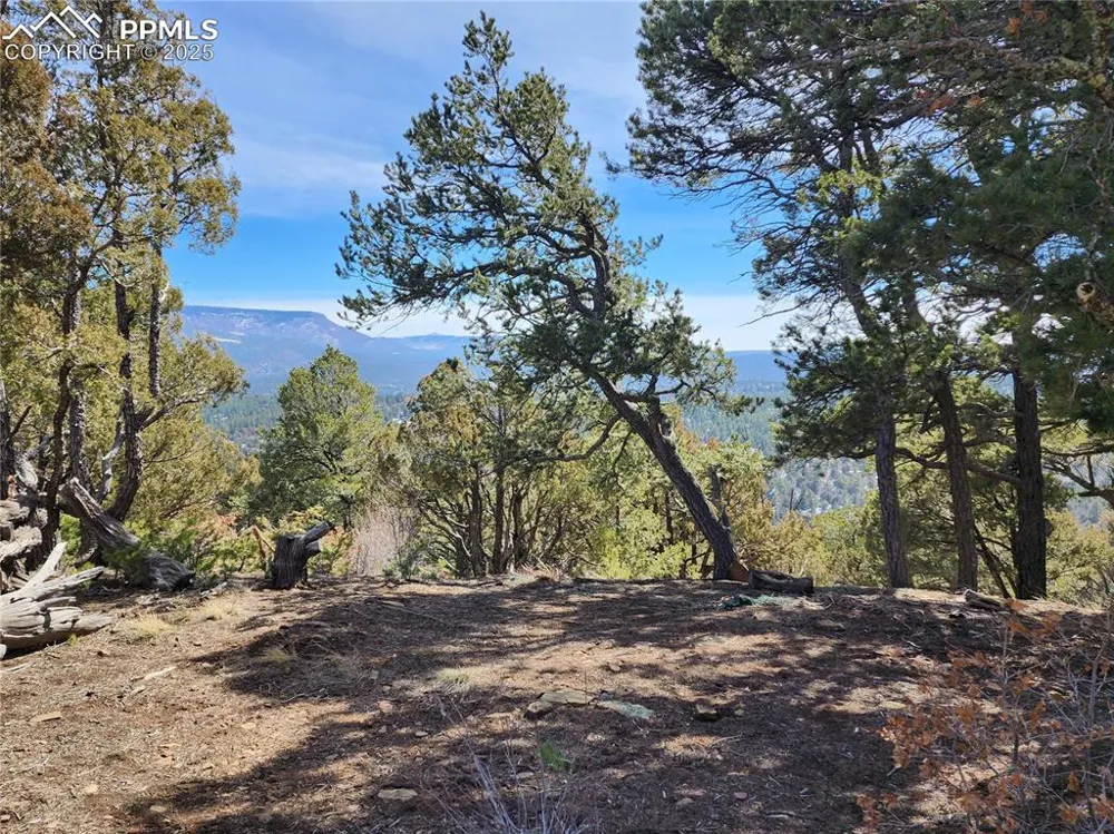 33066 Westwood Drive Trinidad, CO 81082