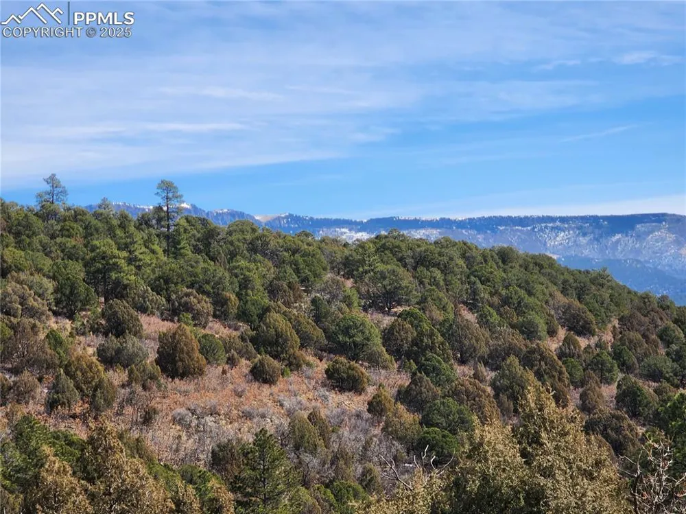 33066 Westwood Drive Trinidad, CO 81082