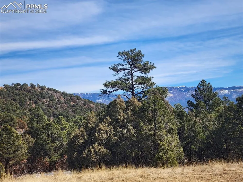 33066 Westwood Drive Trinidad, CO 81082