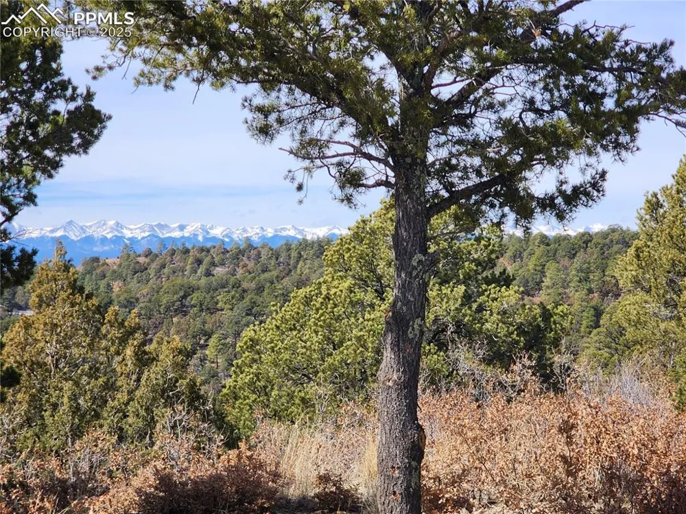 33066 Westwood Drive Trinidad, CO 81082