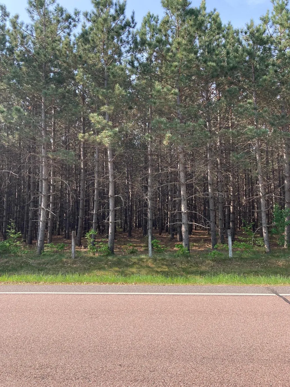 Lot 7 Fawn Lake Road Crosslake, MN 56472