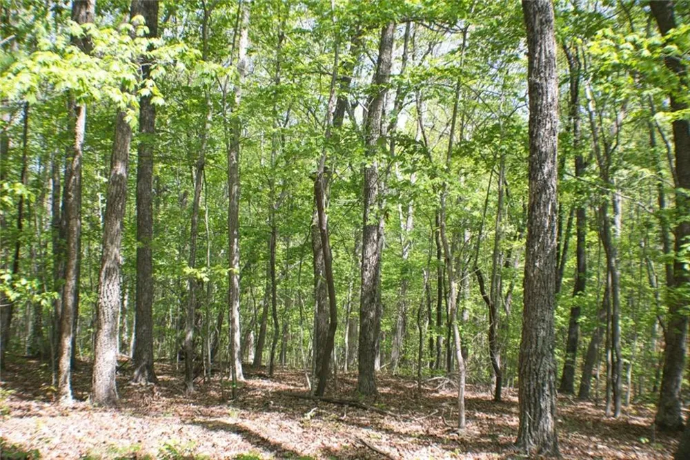 0 157 Highway Menlo, GA 30731