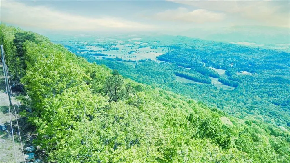 0 157 Highway Menlo, GA 30731