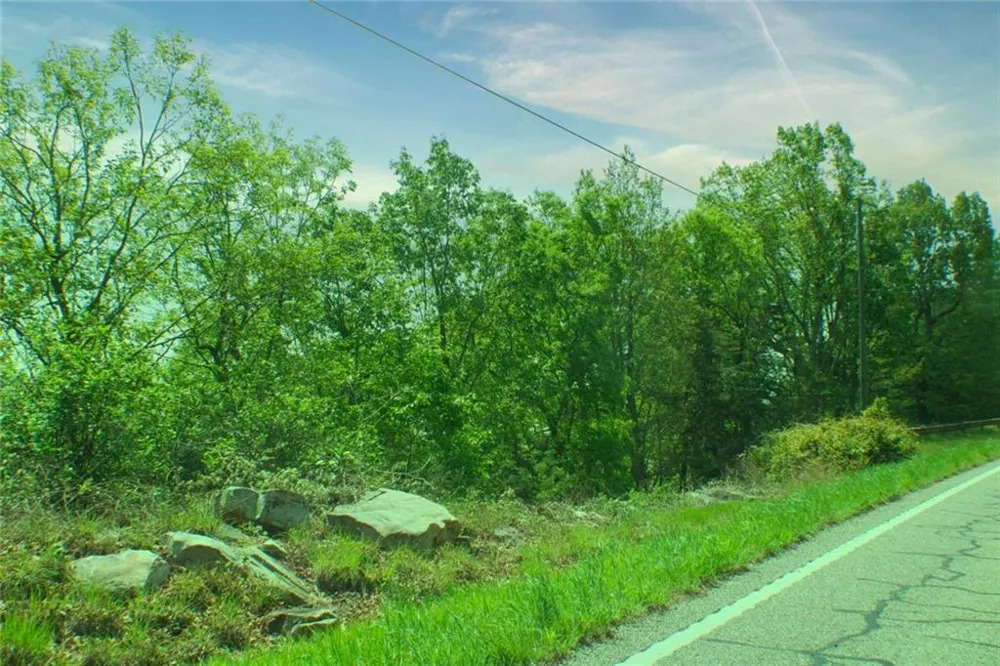 0 157 Highway Menlo, GA 30731