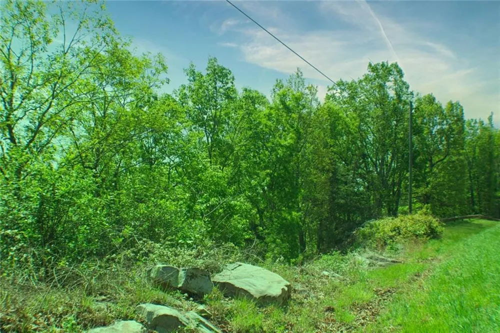 0 157 Highway Menlo, GA 30731