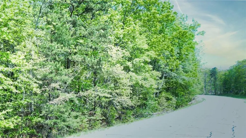 0 157 Highway Menlo, GA 30731