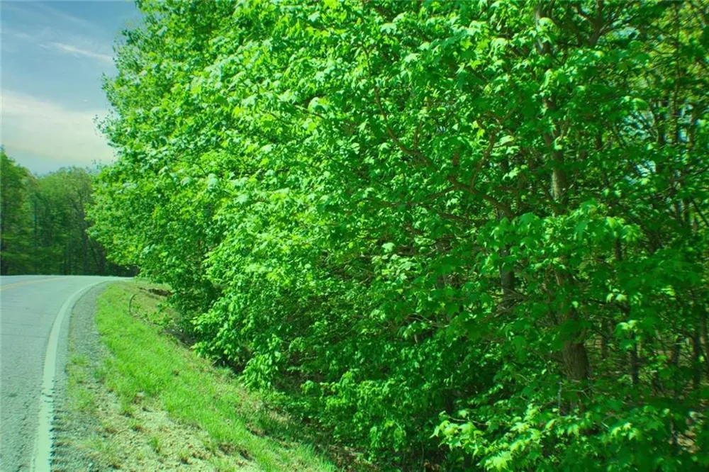 0 157 Highway Menlo, GA 30731