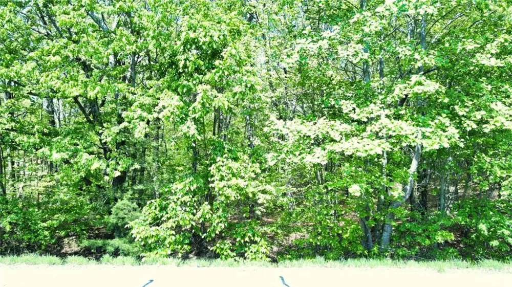 0 157 Highway Menlo, GA 30731