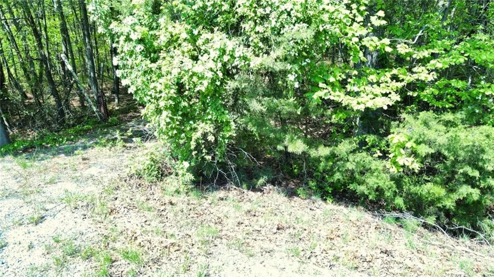 0 157 Highway Menlo, GA 30731