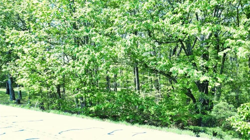 0 157 Highway Menlo, GA 30731