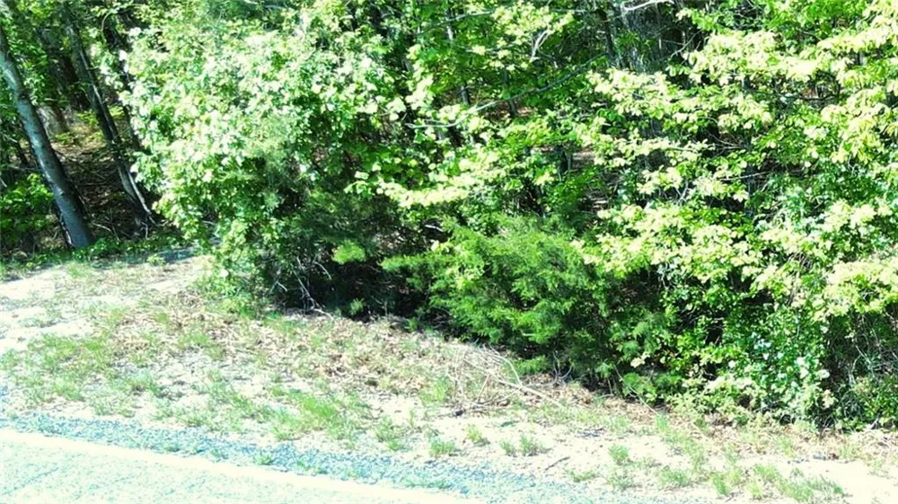 0 157 Highway Menlo, GA 30731
