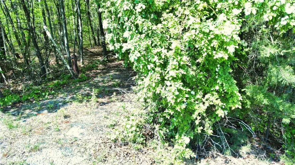 0 157 Highway Menlo, GA 30731