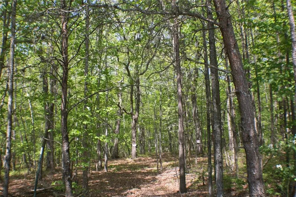 0 157 Highway Menlo, GA 30731