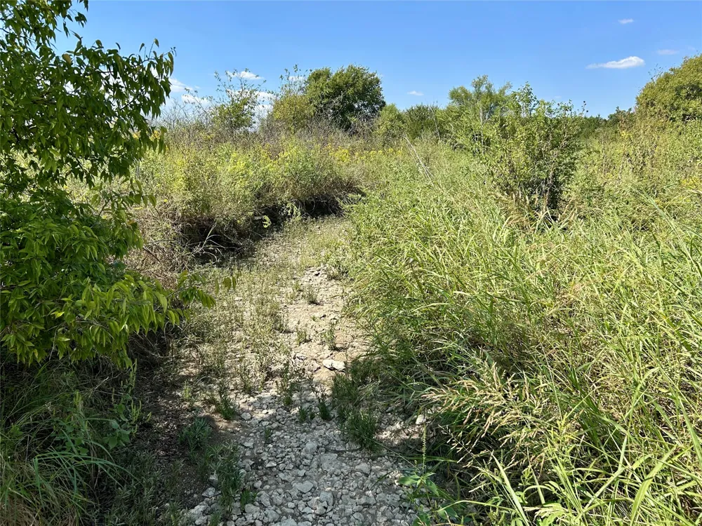 231 Hcr 1206 Blum, TX 76627